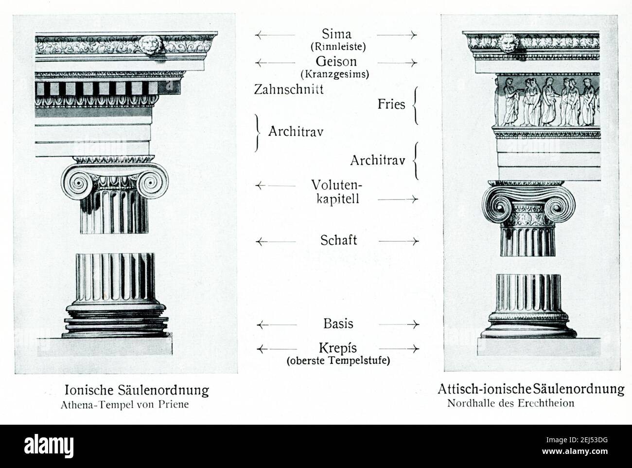This illustration shows Ionic Order Column used in building the Temple of Athena at Priene  (left) and the Attic Ionic Order Column used in building the North side of the Erechtheion (right. The labels are in German. The Temple of Athena Polias in Priene was an Ionic Order temple located northwest of Priene's Agora, inside a complex of the sanctuary. Built around 350 BC, it was dedicated to Athena Polias, the same as the patron deity of Athens. The Erechtheion (or Erechtheum) is an ancient Greek temple constructed on the acropolis of Athens between 421 and 406 BC in the Golden Age of the city Stock Photo