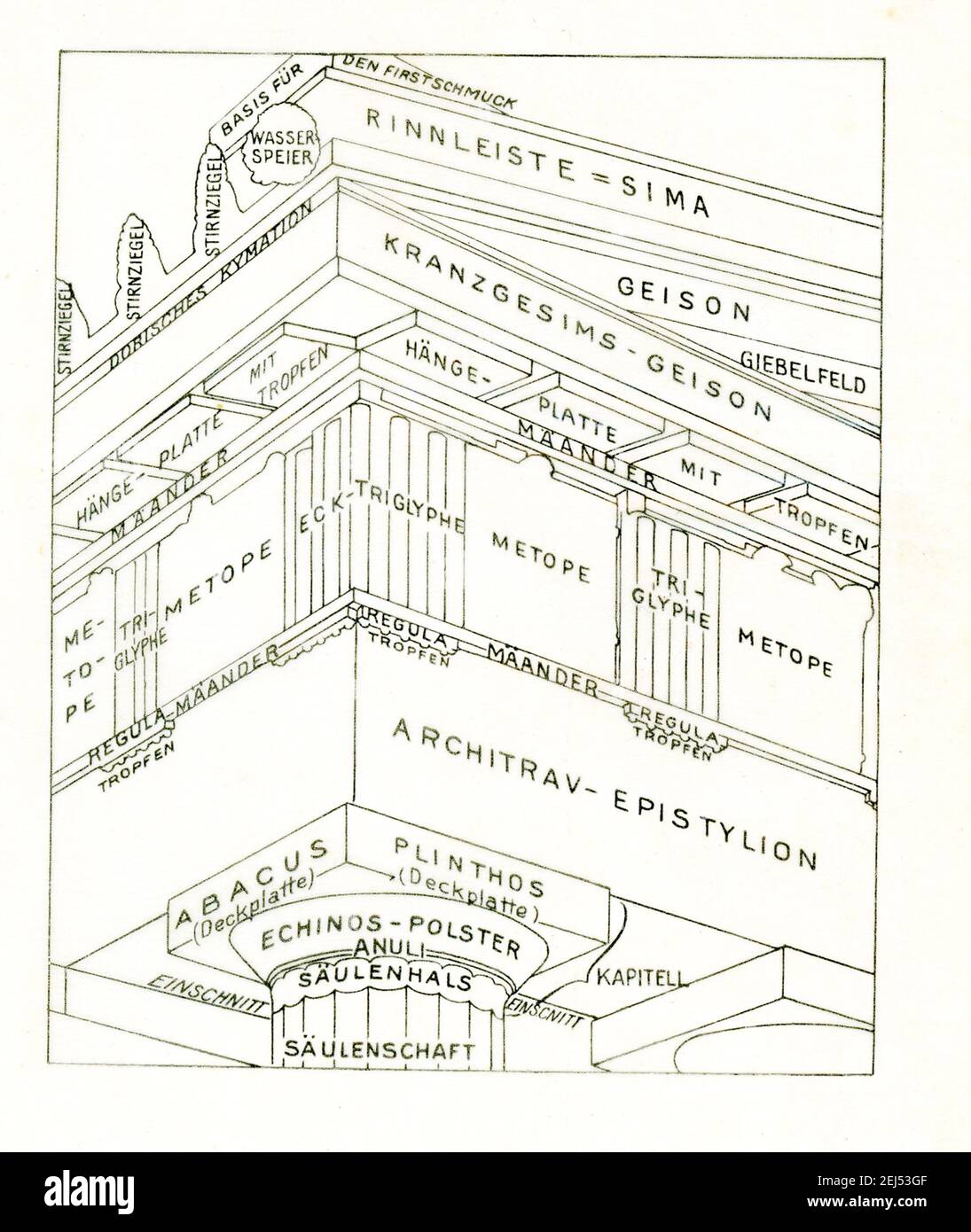 This diagram labels all the parts (in German) of the entablature that is part of the Parthenon. The diagram is a copy of Ludwig Peter Fenger’s work. The Parthenon is the temple that dominates the hill of the Acropolis at Athens. Built in the mid-5th century BC,  it was dedicated to the Greek goddess Athena. This early 1900s diagram shows a corner of the Parthenon area with stone panels called metopes that were separated from one another by triglyphs. The scenes were mythological and legendary. To paint the sections, the ancients melted color dyes into a hot wax solution and then applied it to Stock Photo