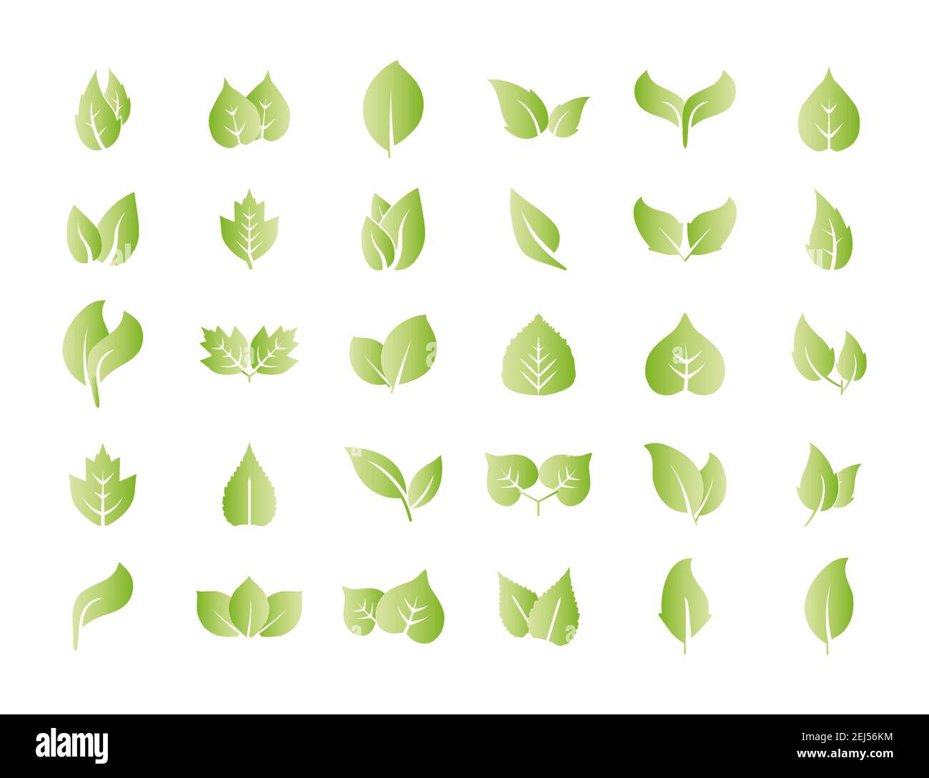 Vector illustration. Eco, green leaves icon set Stock Vector Image ...