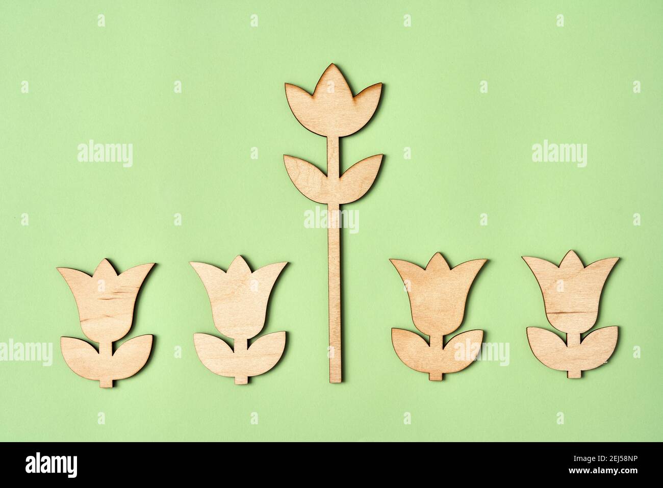 One big wooden flower in the middle of four small ones on green paper background Stock Photo