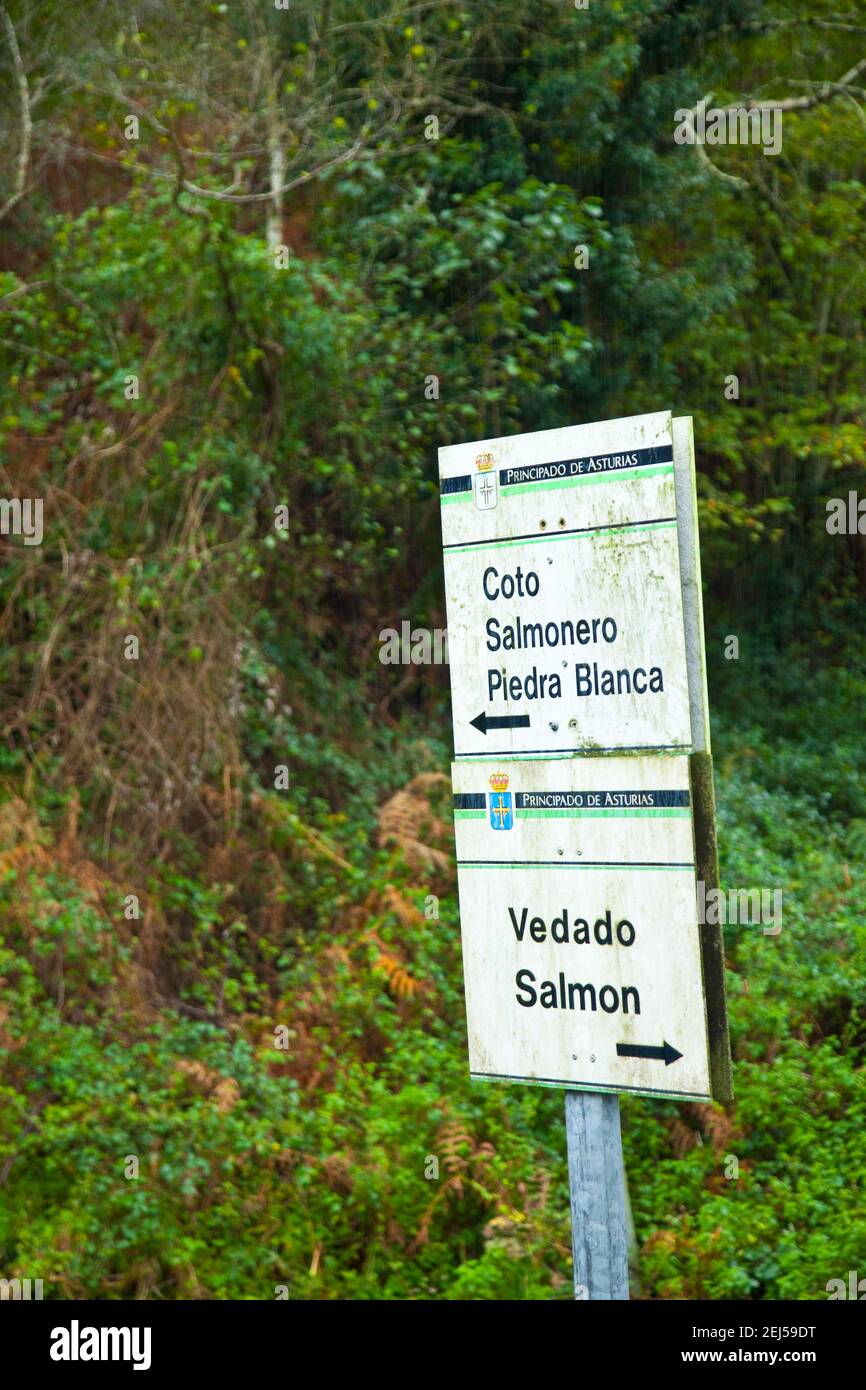 De piedra blanca hi-res stock photography and images - Alamy