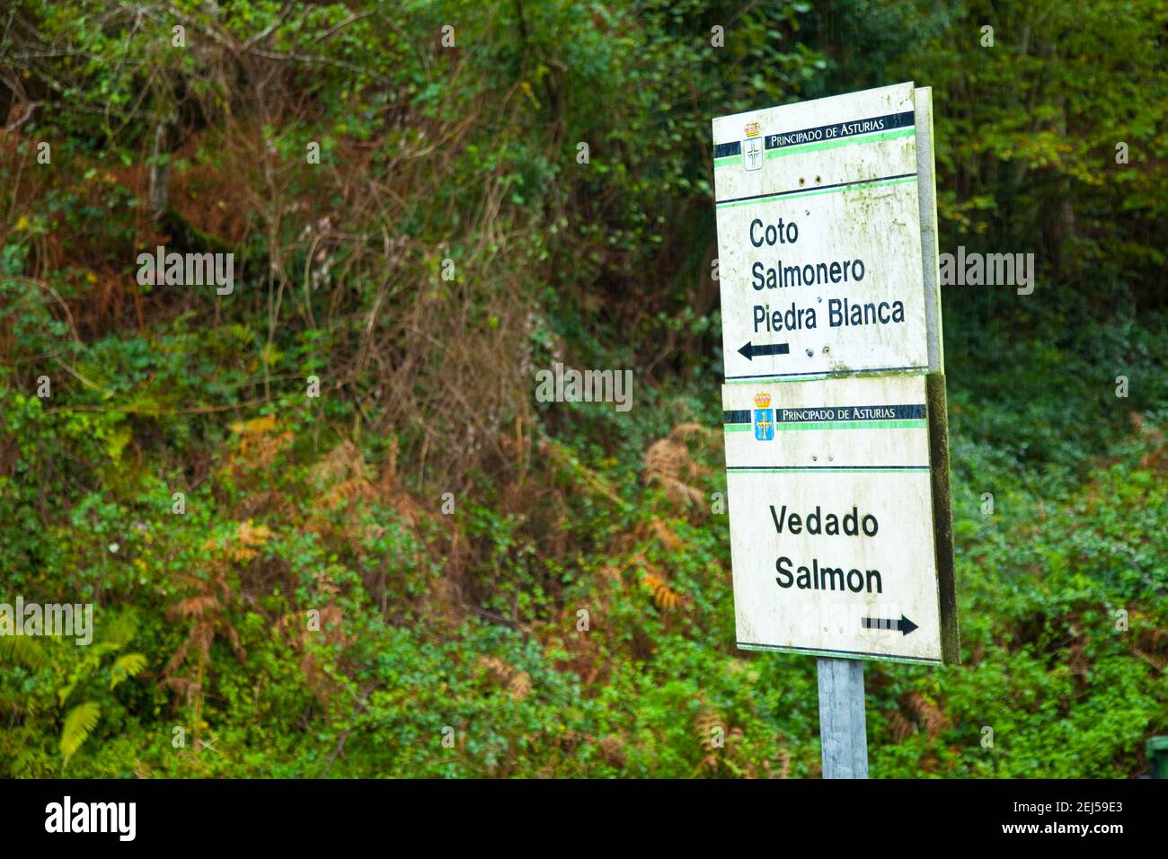 De piedra blanca hi-res stock photography and images - Alamy