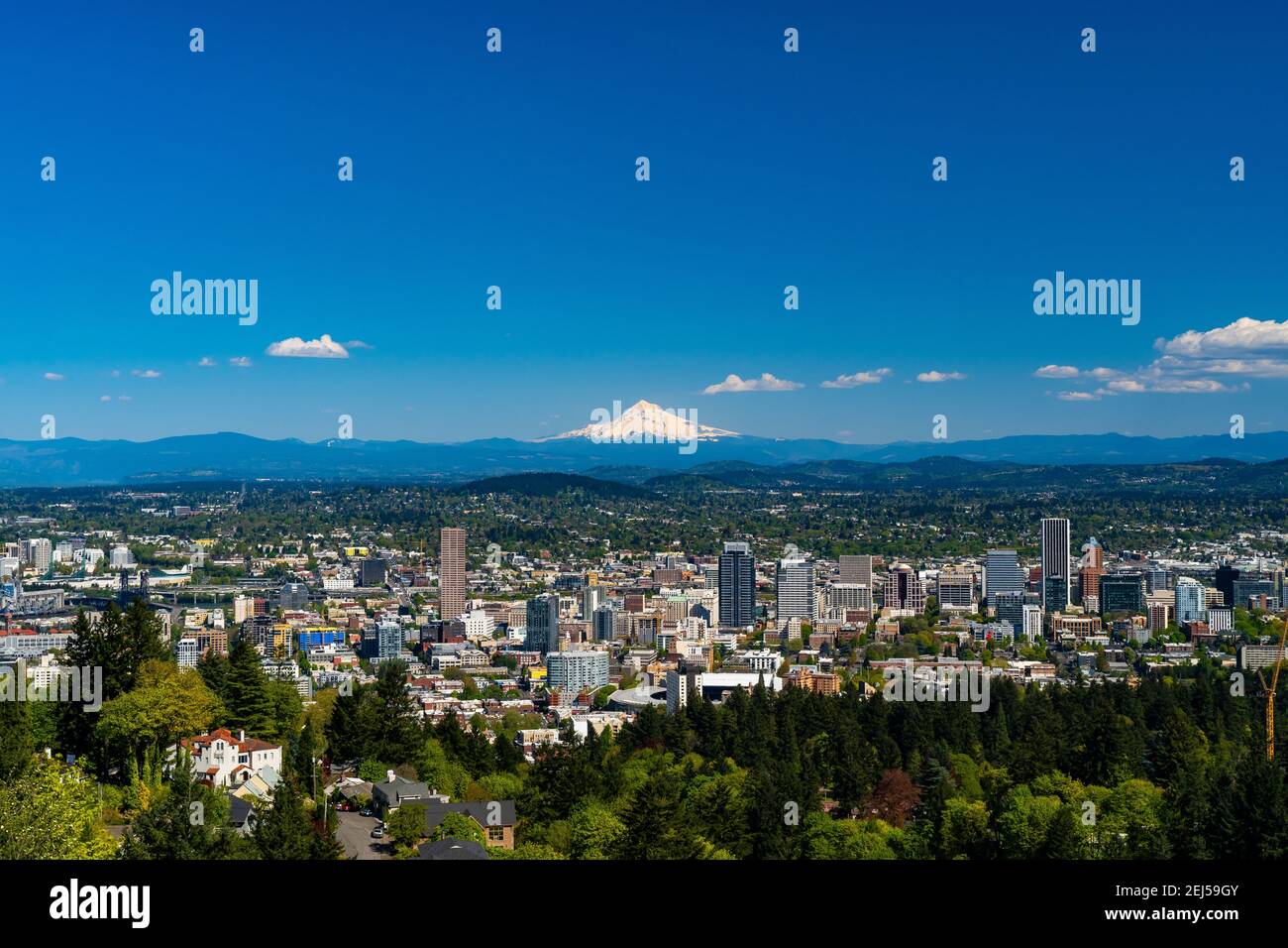 Downtown Portland, Oregon with Mt. Hood in the background. Stock Photo