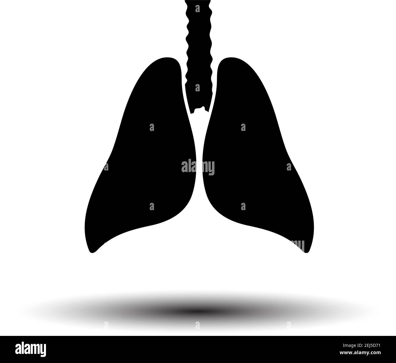 Human Lungs Icon. Black on White Background With Shadow. Vector ...