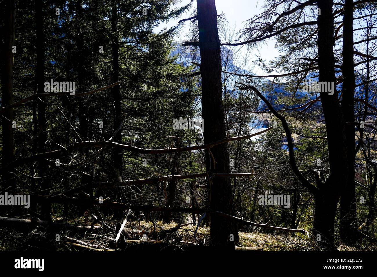 Mont Granier, Savoie, France Stock Photo Alamy
