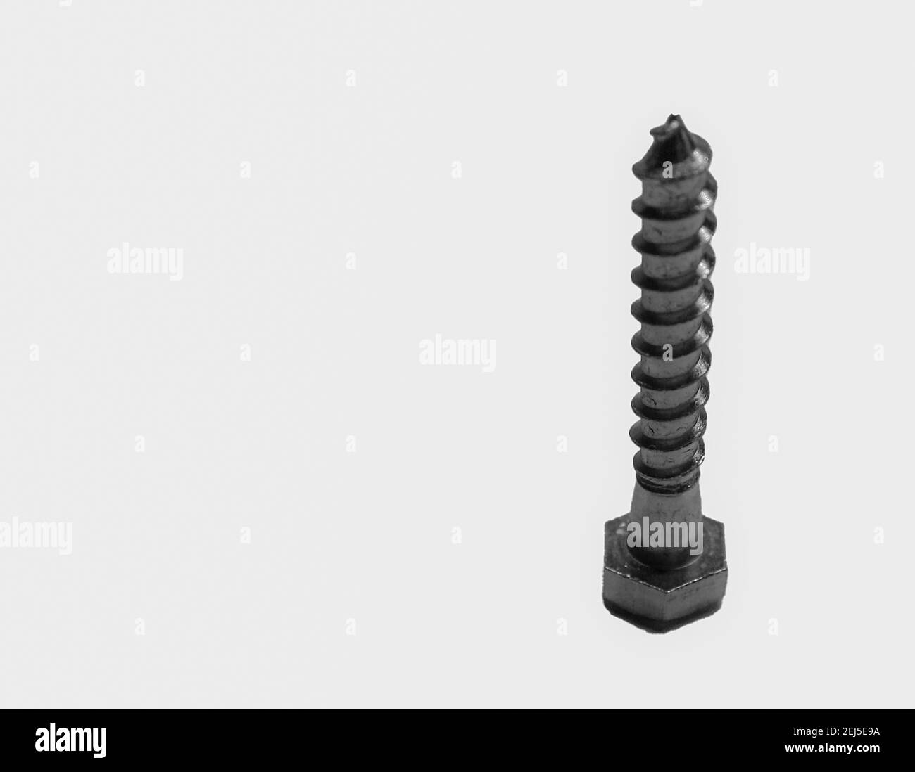 A closeup shot of a metal screw isolated on a white background Stock Photo