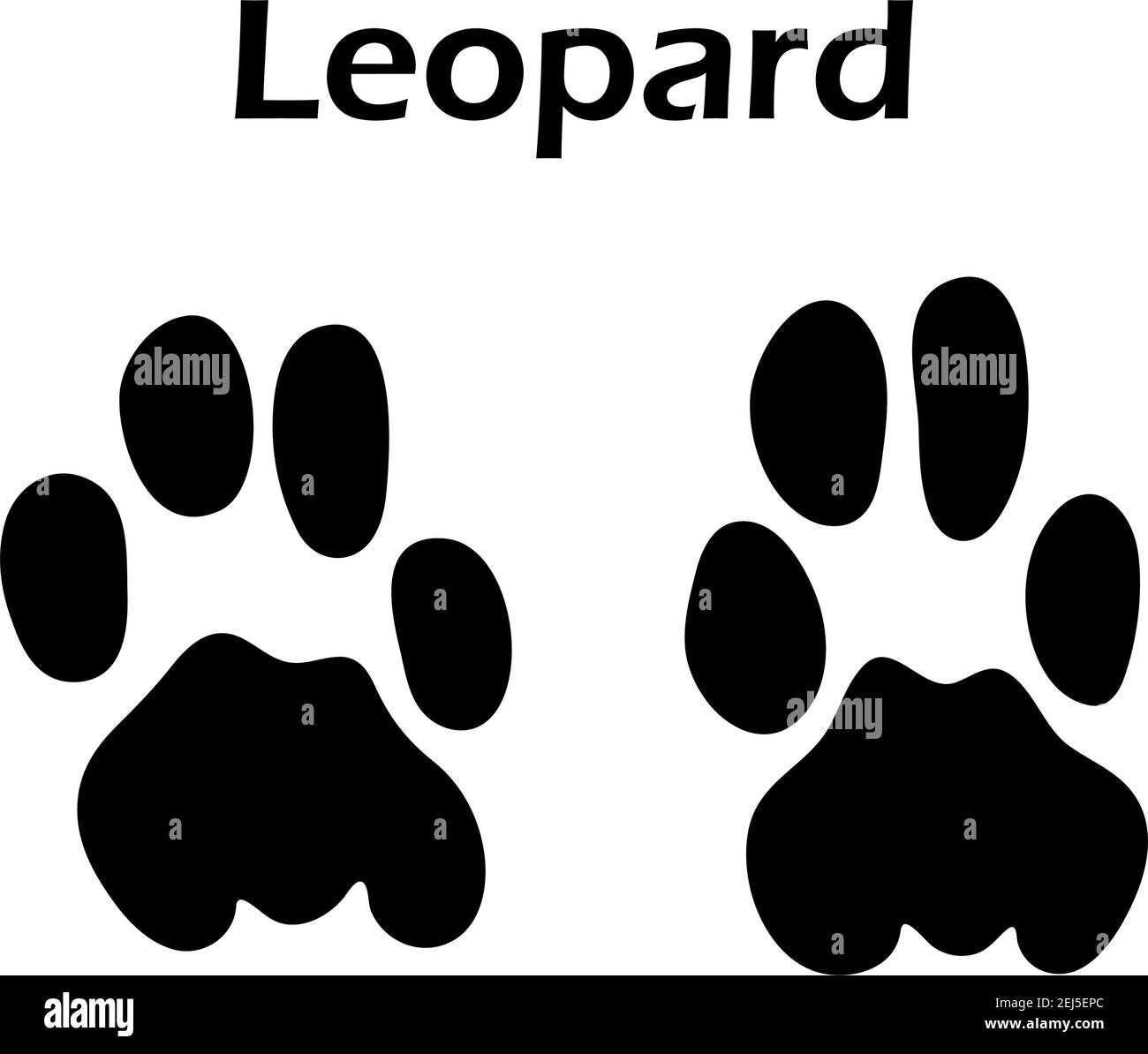 Leopard Footprint. Black Silhouette Design. Vector Illustration. Stock Vector