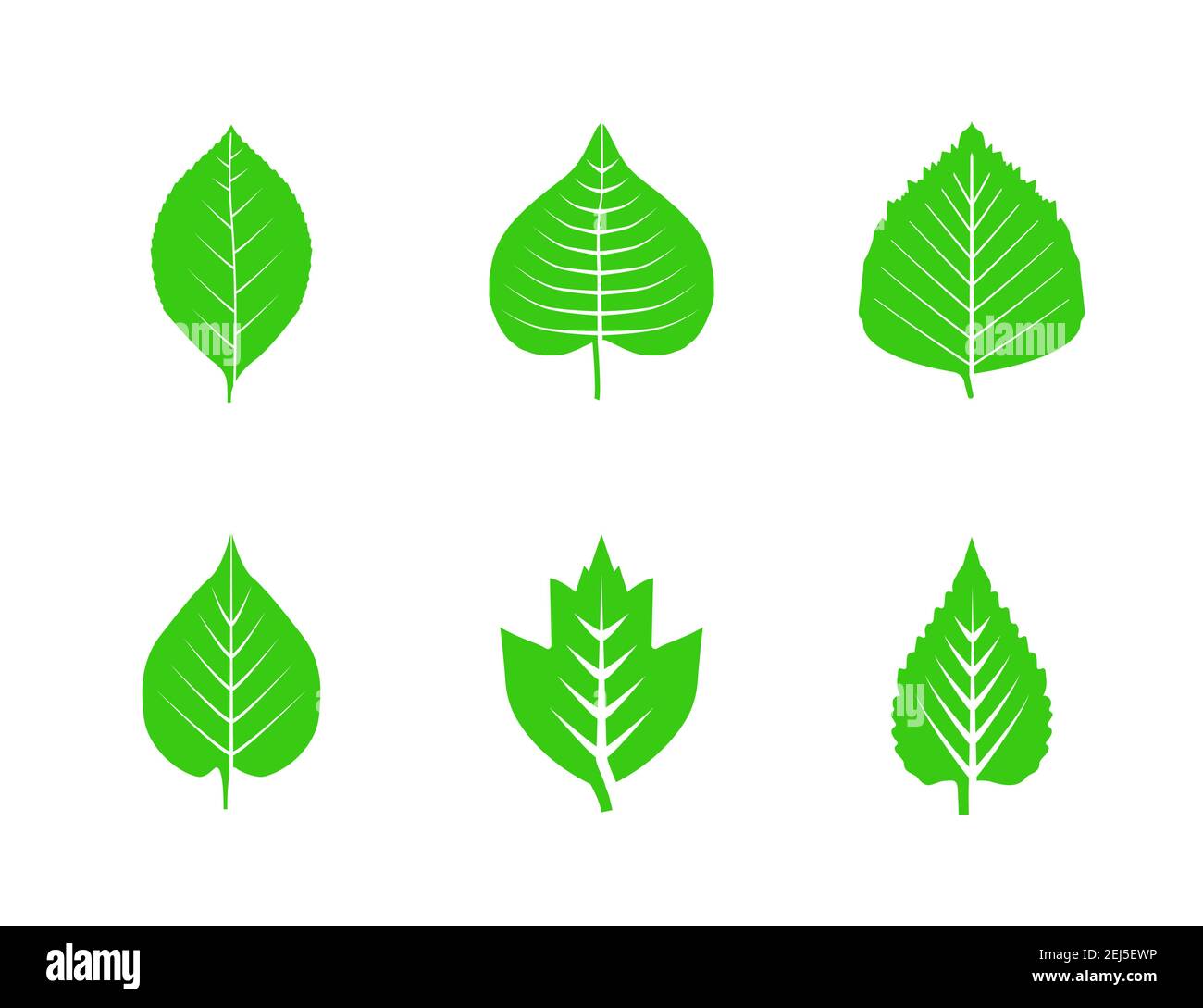 Vector illustration. Eco, green leaves icon set Stock Vector Image ...
