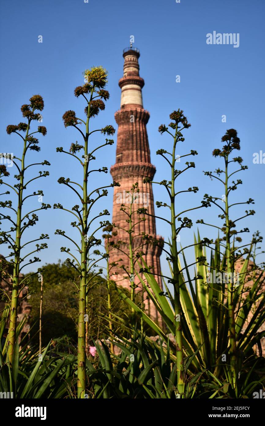 Qutb Minar, Qutub Complex, Mehrauli , New Delhi, India Stock Photo