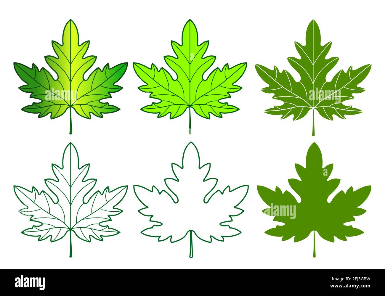 Set of the maple leaf icon Stock Vector