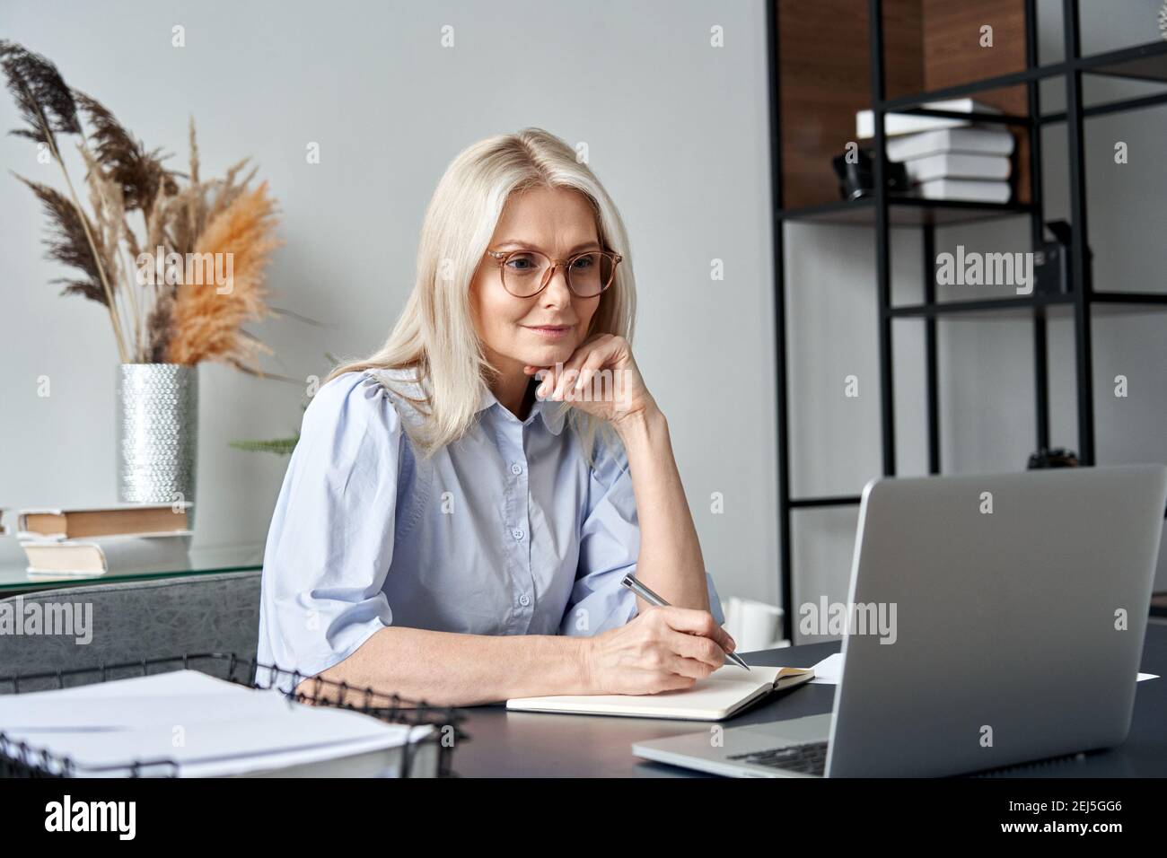 Middle aged woman watching professional training class online virtual meeting. Stock Photo