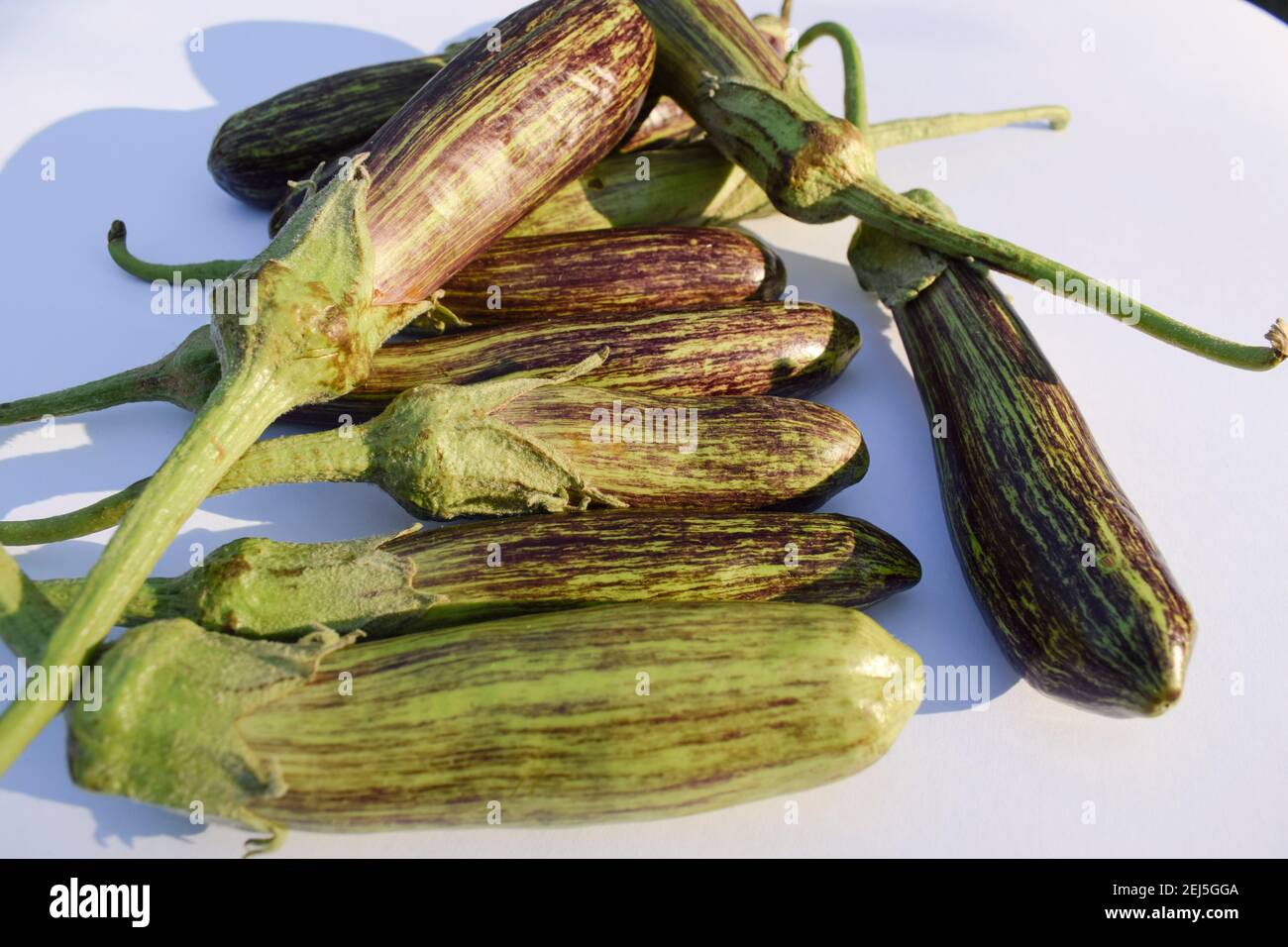 Brinjals also called Eggplants and aubergines. Green and purple dual