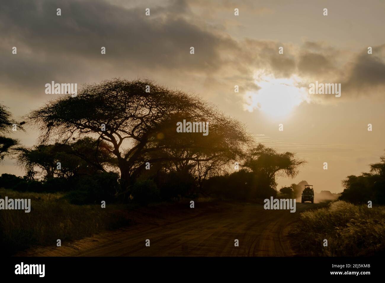 Masai mara sunset heat hi-res stock photography and images - Alamy