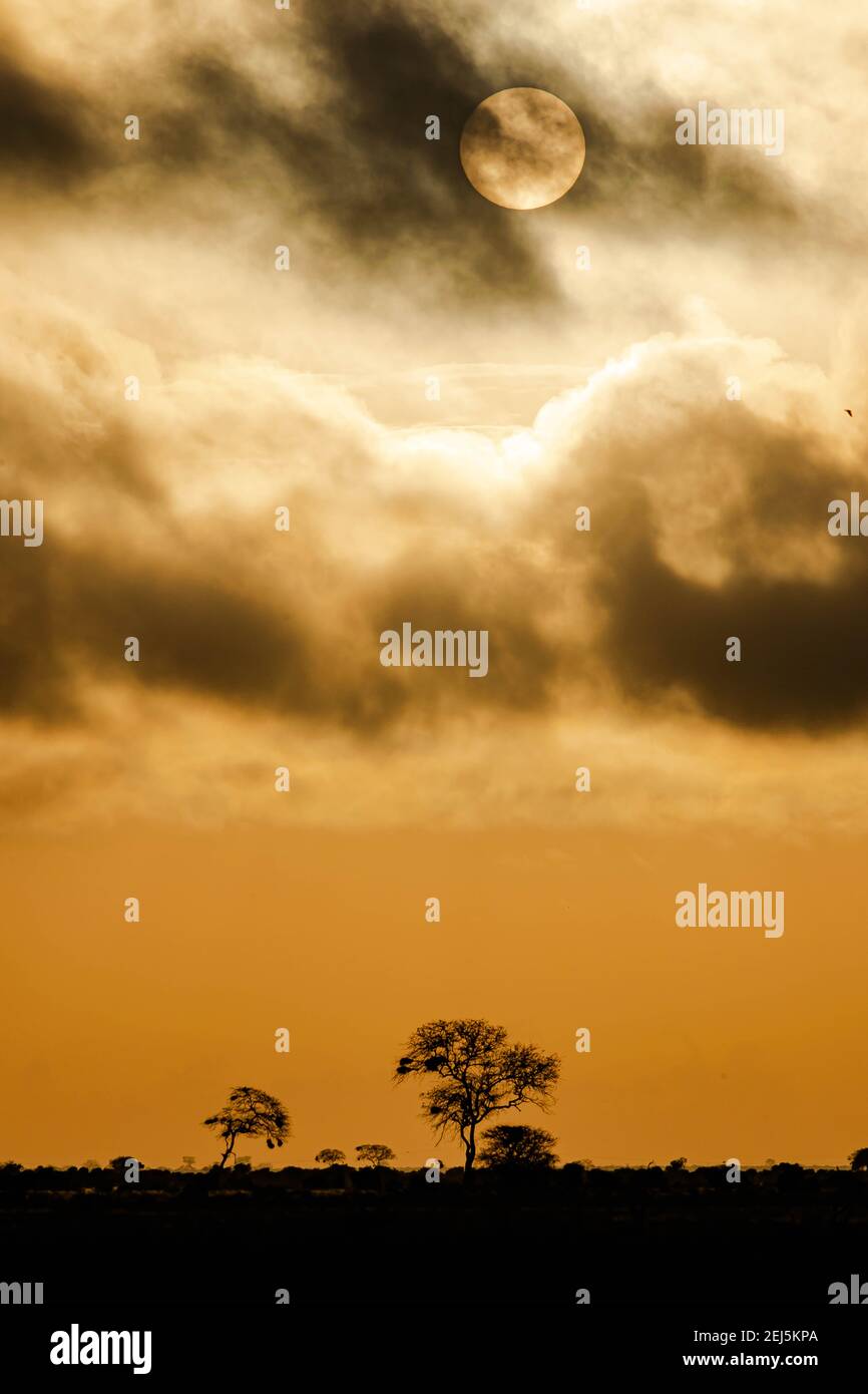 Masai mara sunset heat hi-res stock photography and images - Alamy