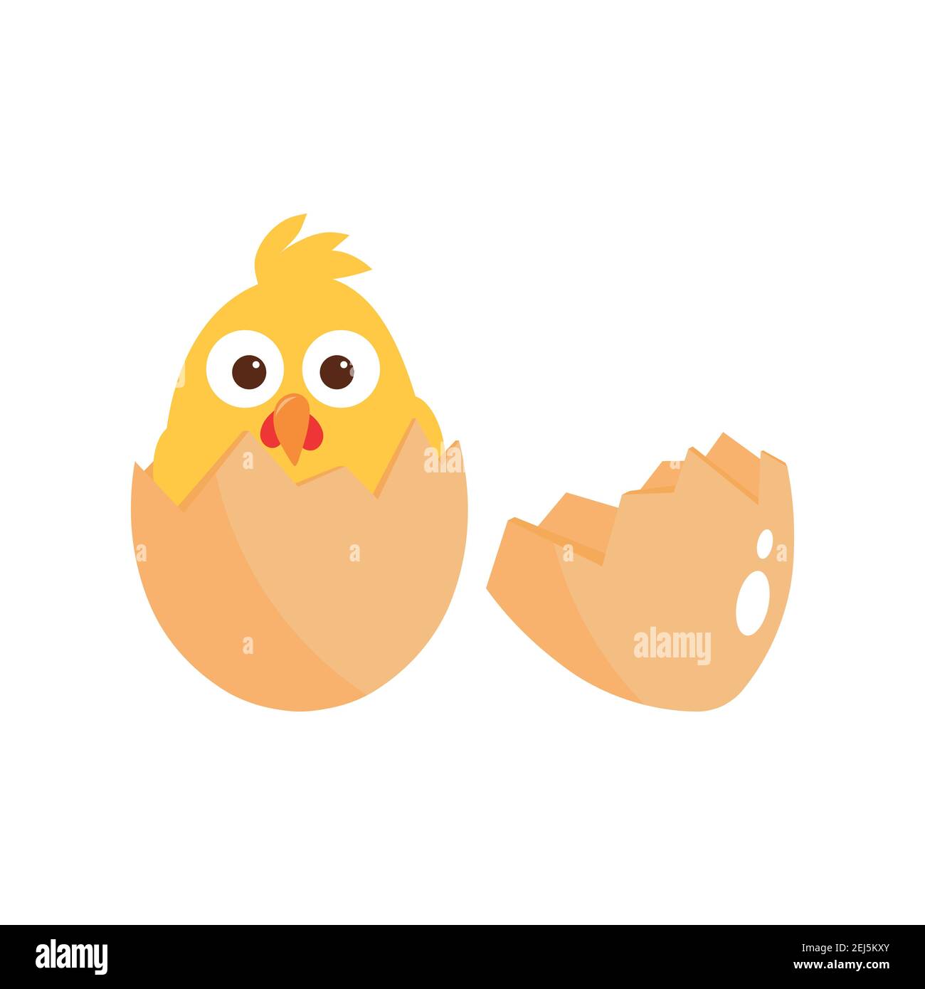Chicken in egg - vector illustration isolated on white background. Stock Vector