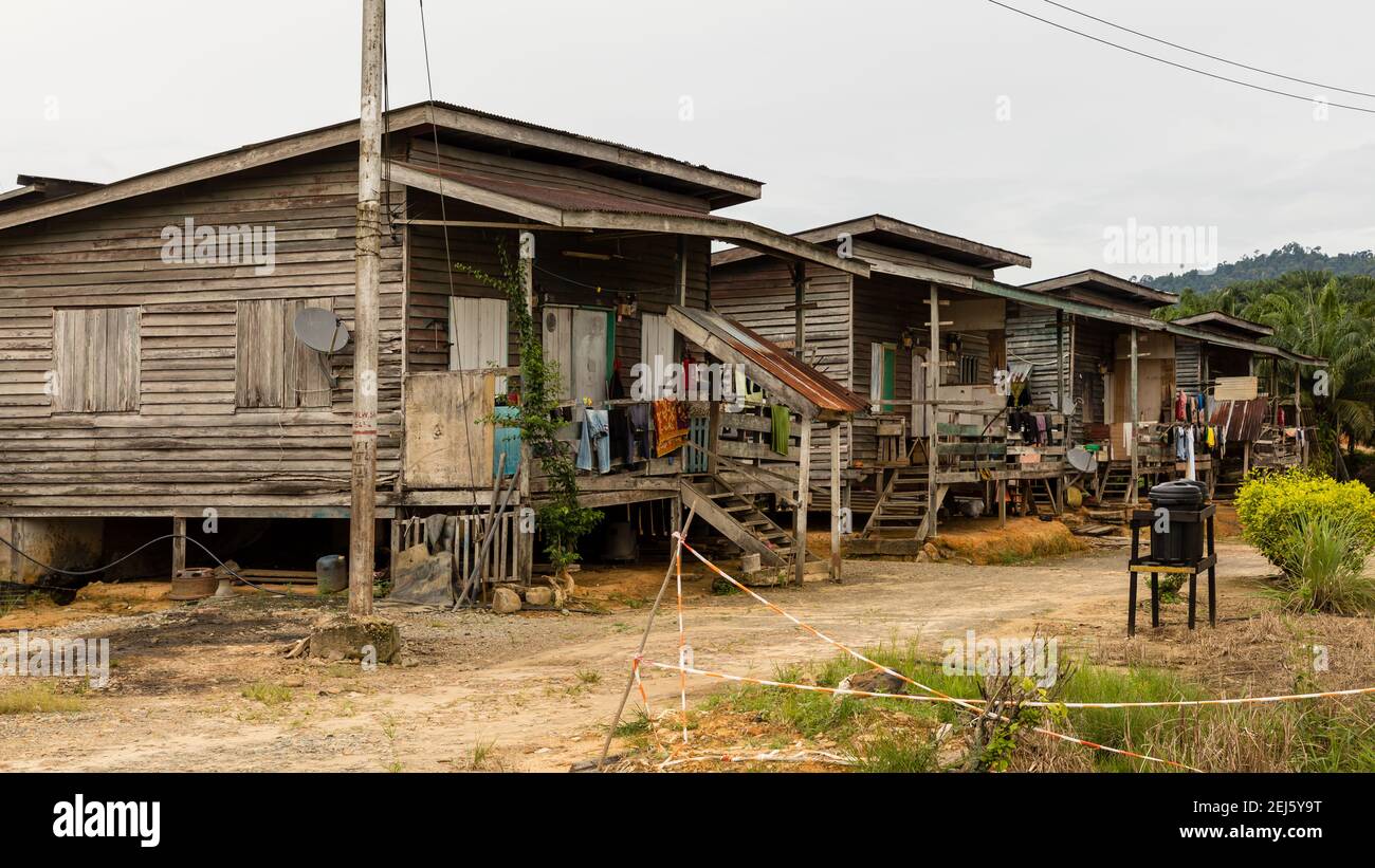 Residential houses for workers of "Lumadan Estate" in Sabah, Malaysia