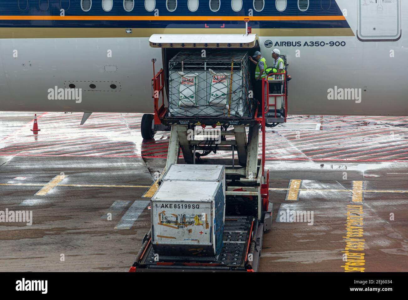 A ULD loader lifting a unit load device (ULD) with living Zebras to an aircraft's cargo bay of a Singapore Airlines machine at Changi Intern. Airport Stock Photo