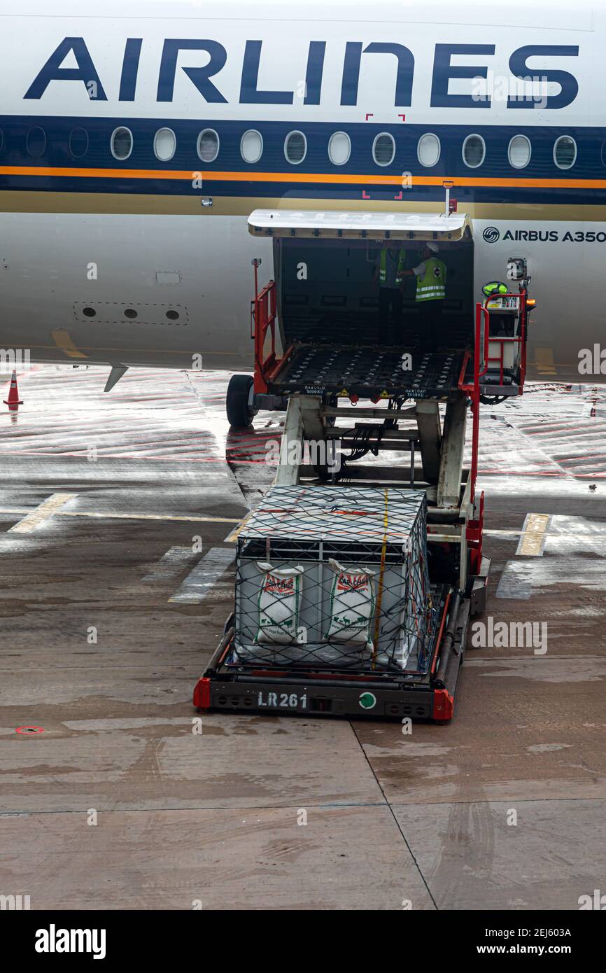 A ULD loader lifting a unit load device (ULD) from apron dollies to an aircrafts cargo bay of a Singapore Airlines machine at Changi Airport Singapore Stock Photo