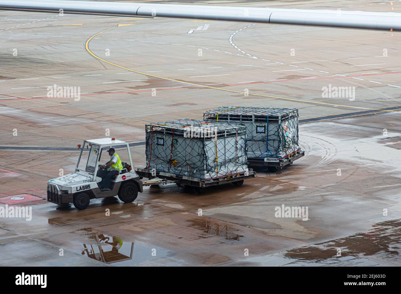 Apron tractor dragging two large dollies holding two aircraft cargo Unit Load Devices with ventilation grille for animal transport at Changi Airport. Stock Photo