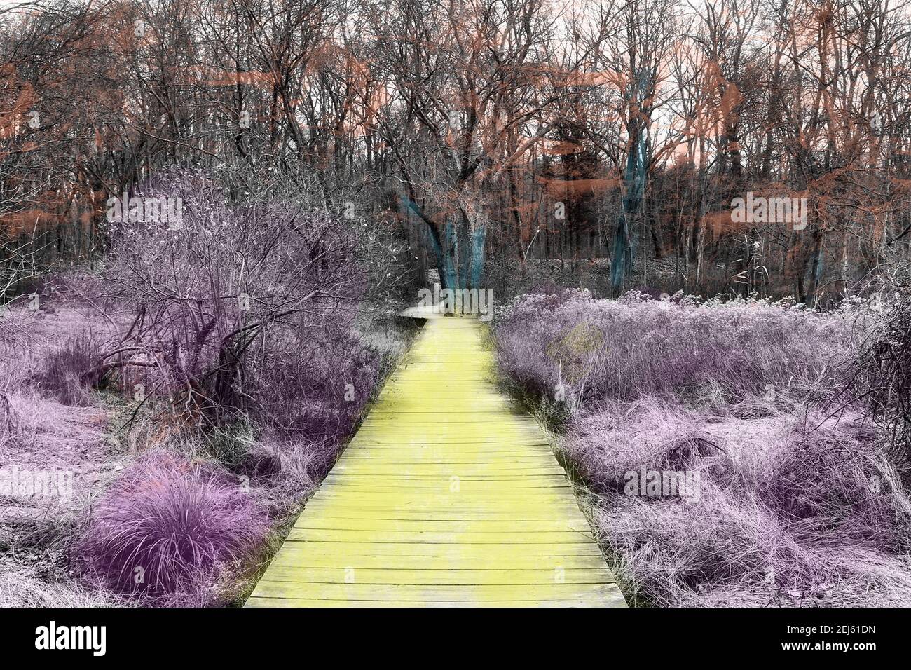 Yellow Brick Road - Mixed media illustration of path in woods with areas painted and tinted Stock Photo