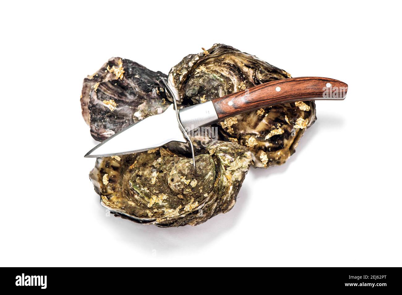 Fresh oysters with oyster knife on white background. Seafood Stock