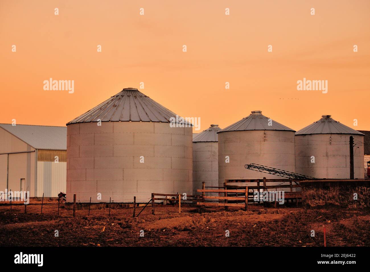 South Elgin, Illinois, USA. Dusk, just after sunset, descends on dairy farm storage silos on a winter evening in northeastern Illinois Stock Photo