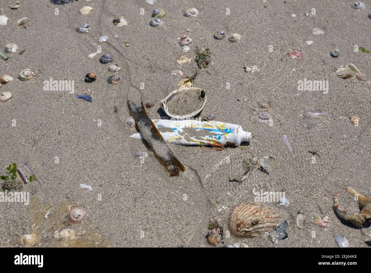 Used Tooothpaste tube discarded on shells beach ecosystem,sea coast pollution contamination Stock Photo