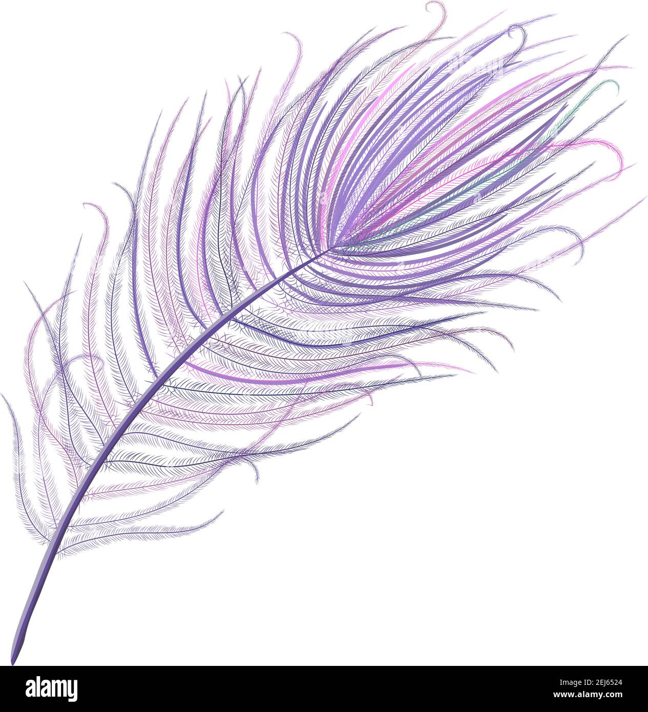 Peacock feather realistic in boho style. Luxury design. Stock Vector