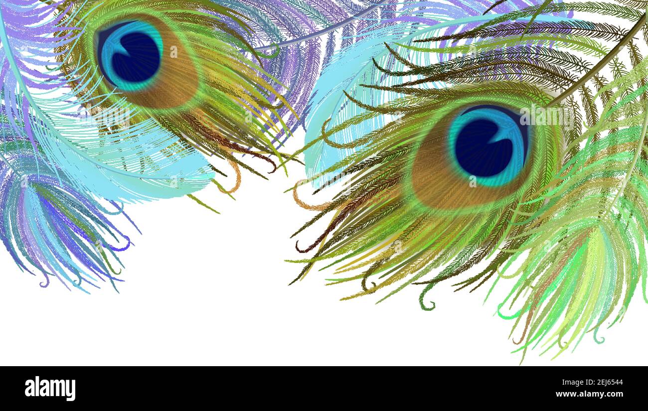 Peacock feather realistic in boho style. Luxury design. Stock Vector