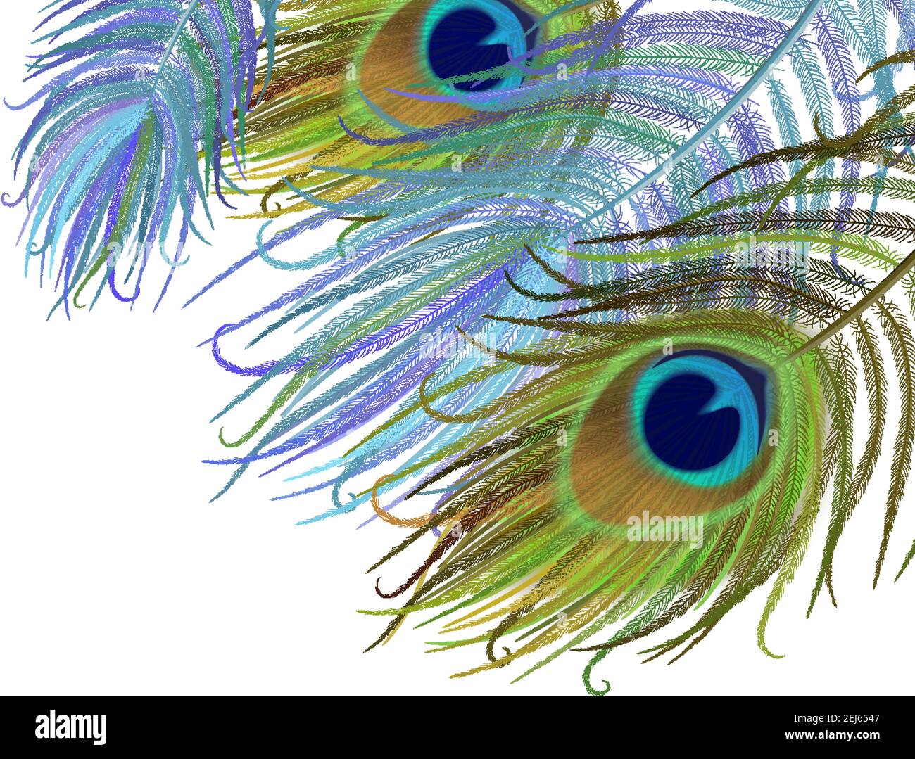 Peacock feather realistic in boho style. Luxury design. Stock Vector