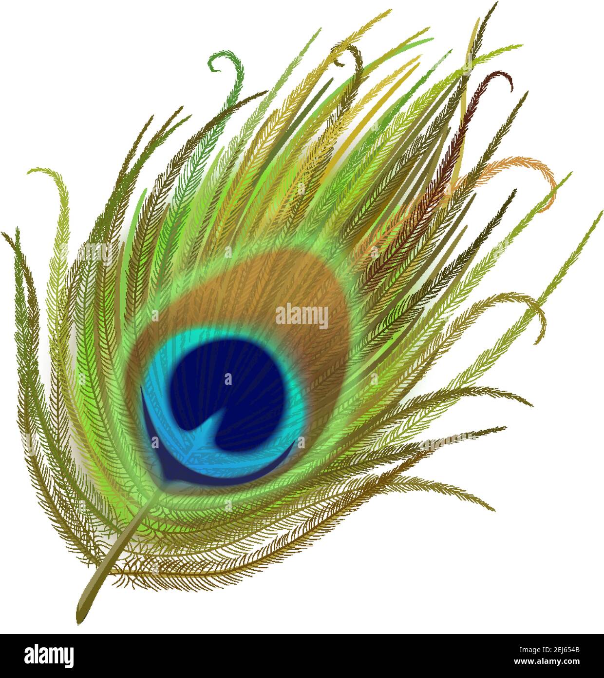 Peacock feather realistic in boho style. Luxury design. Stock Vector