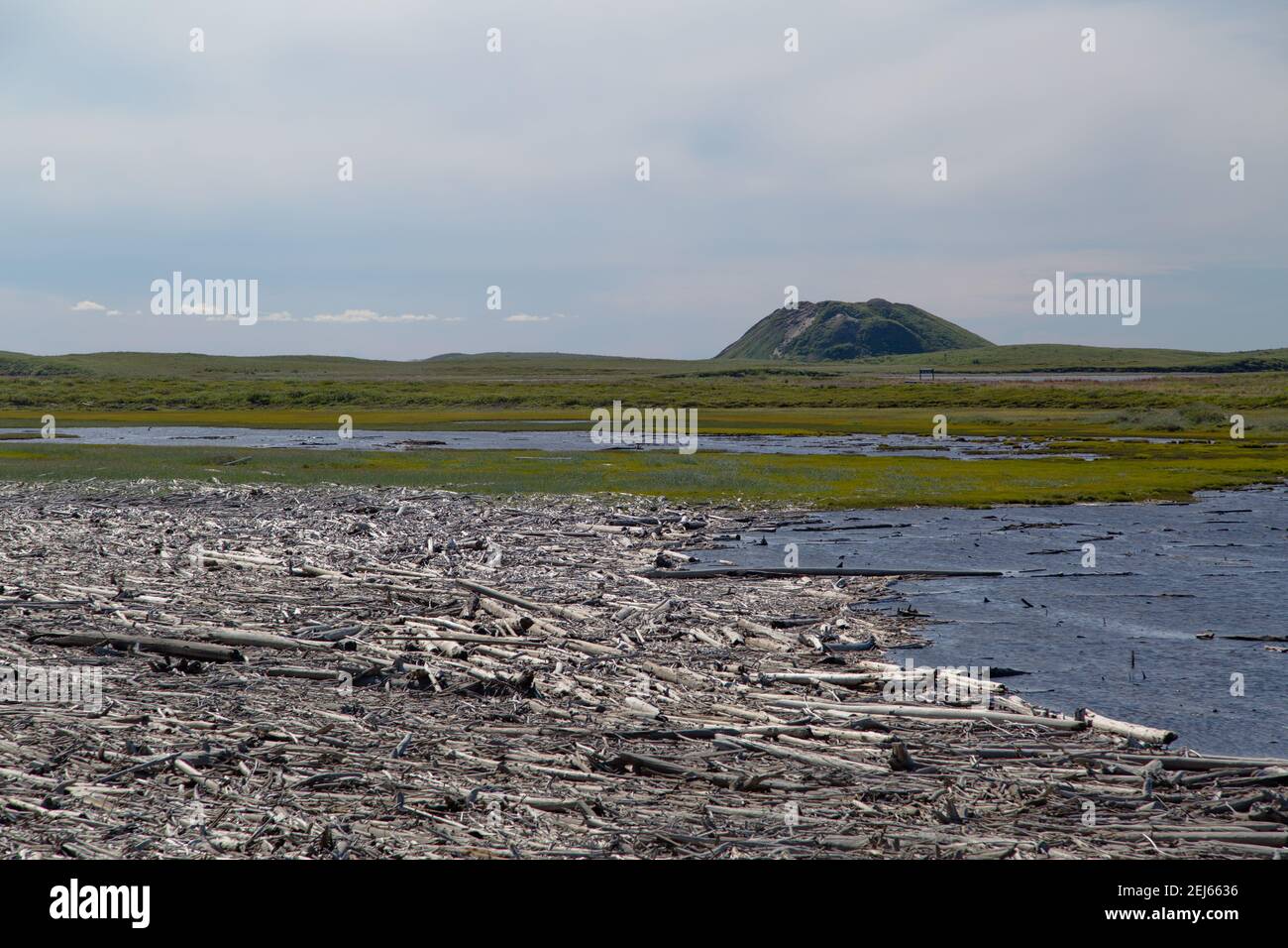 A pingo landmark (intra-permafrost ice-cored hill) in the summer on the arctic landscape outside Tuktoyaktuk, Northwest Territories, Canada's Arctic. Stock Photo