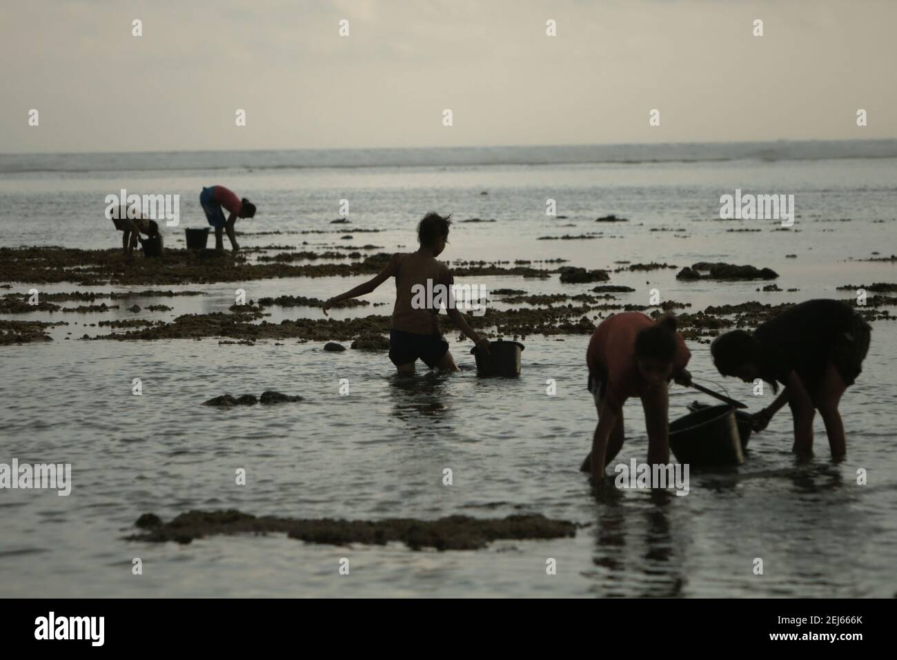 Young women silhouetted as they are collecting sea products during low tide—an alternative, seasonal food source in Sumba Island, East Nusa Tenggara, Indonesia. Stock Photo