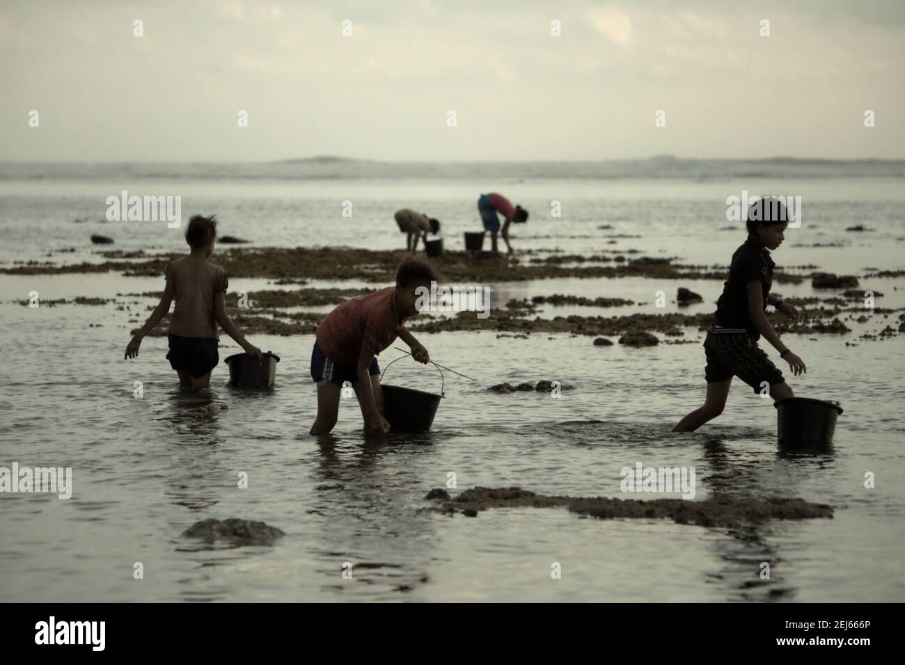 Young women collecting sea products during low tide—an alternative, seasonal food source in Sumba Island, East Nusa Tenggara, Indonesia. Stock Photo