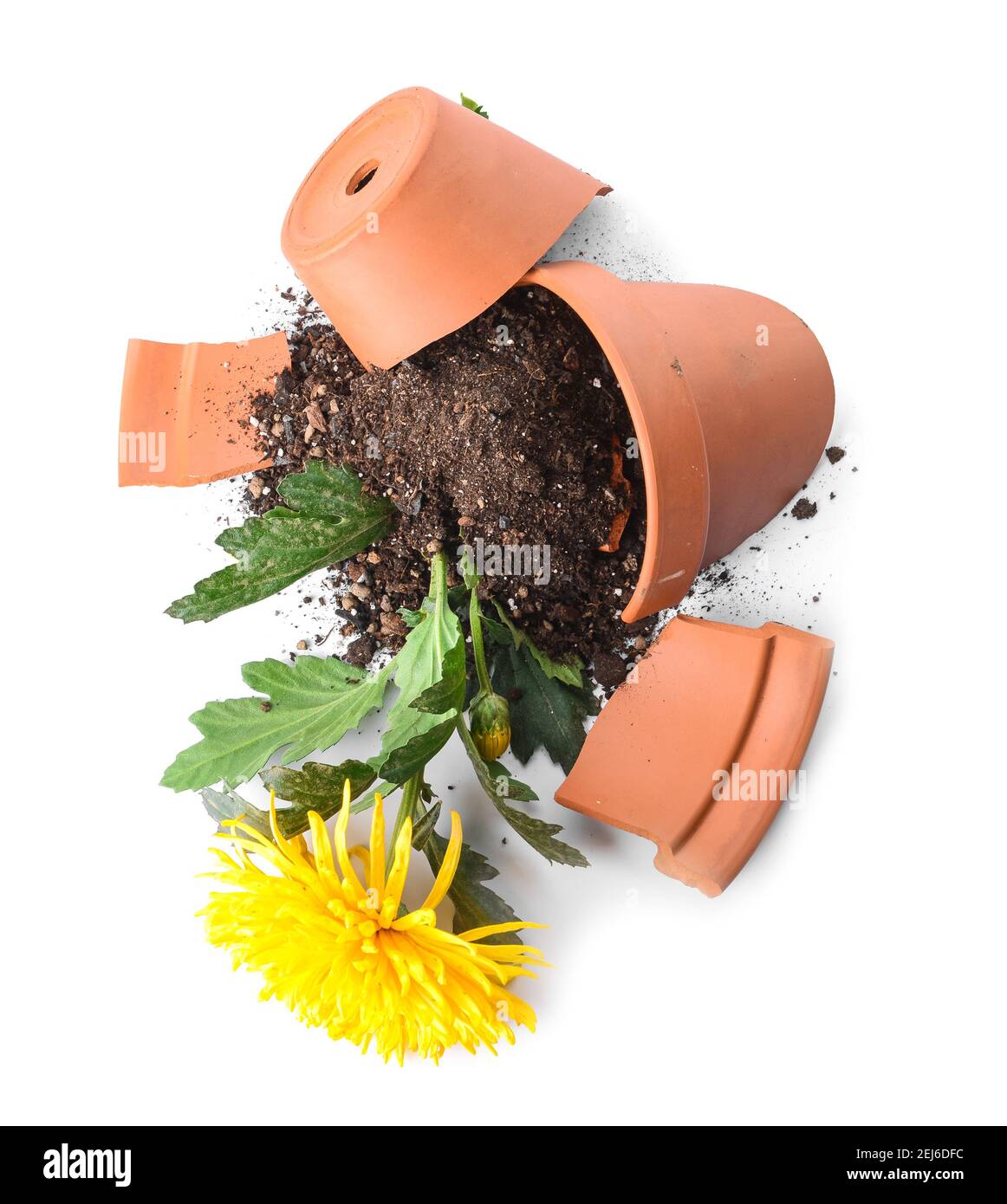 Broken flower pot on white background Stock Photo Alamy