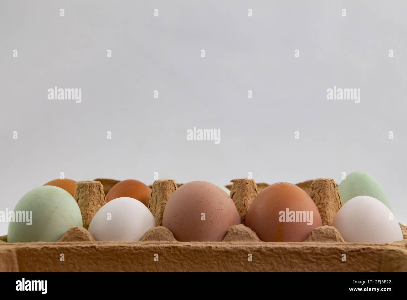 Green, brown and white eggs in a egg box Stock Photo