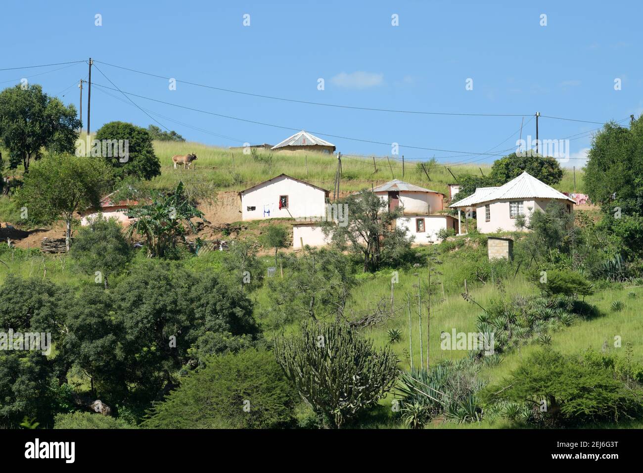 Housing, modern houses of traditional Zulu homestead, building, Pietermaritzburg, South Africa, family accommodation, dwellings, huts (umuzi), home Stock Photo
