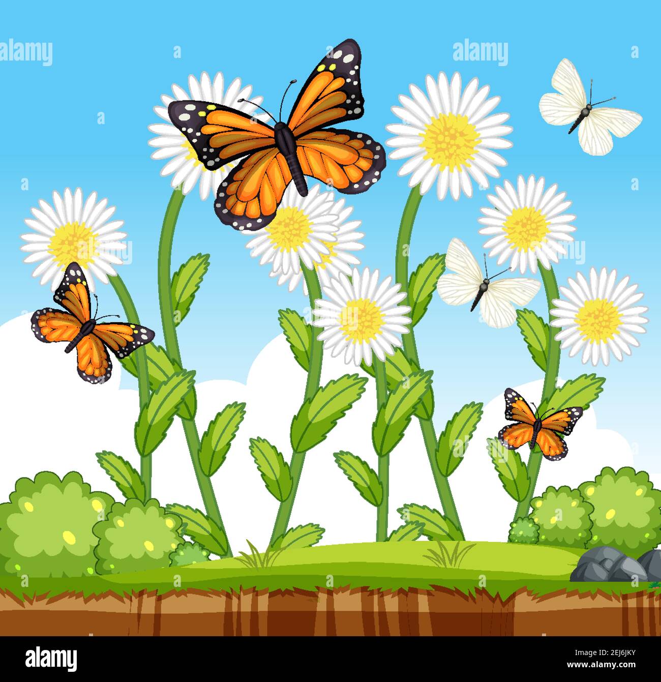 FLOWER & BUTTERFLY SCENES FLOWER & BUTTERFLY SCENES
