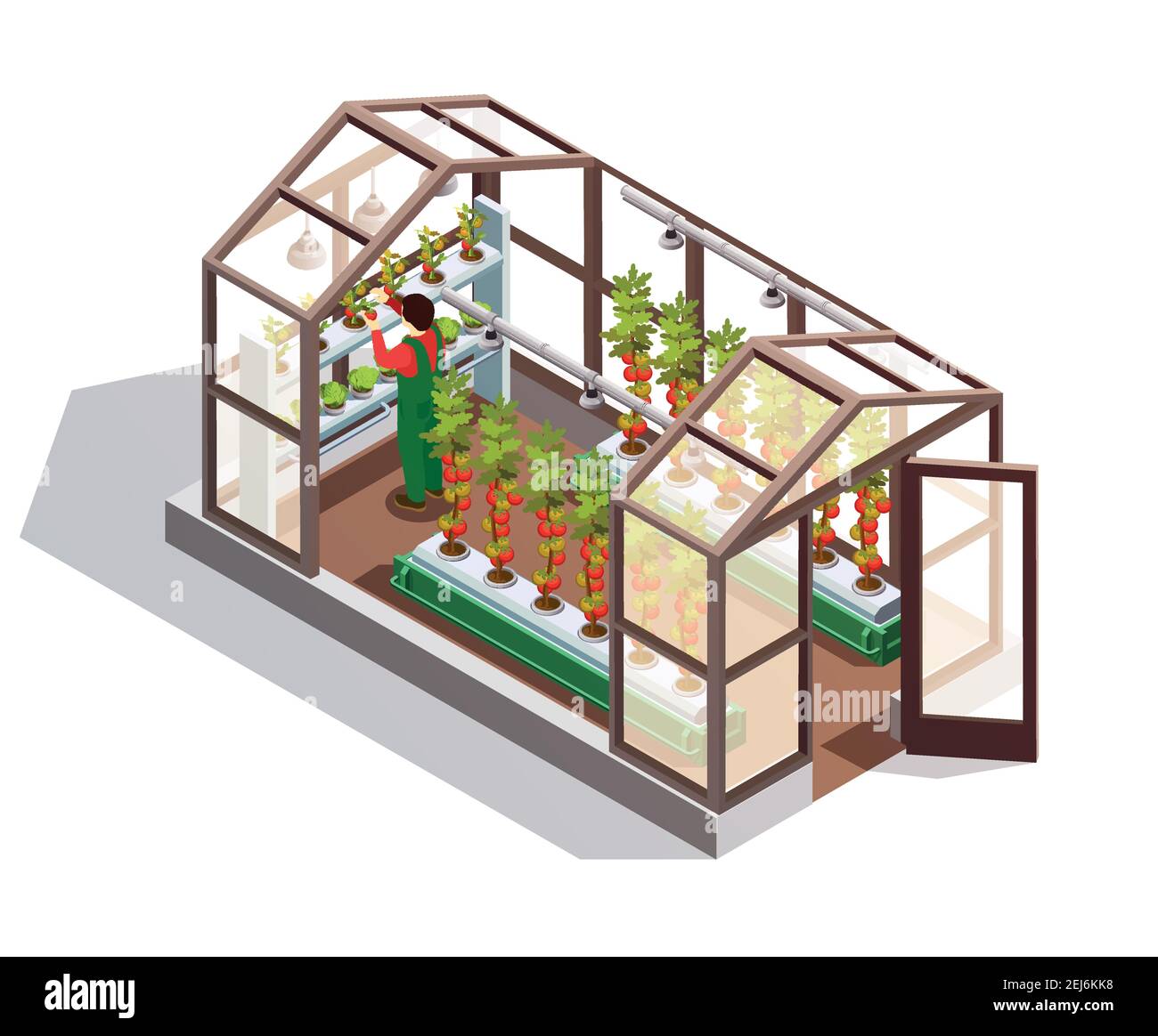 Isometric greenhouse for growing vegetables and fruits with glass walls shelves and artificial lighting isolated vector illustration Stock Vector