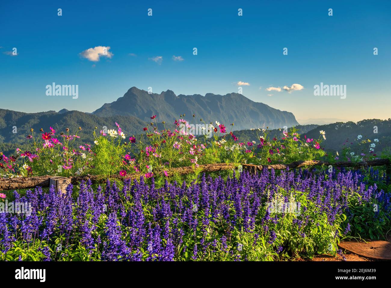 Tropical forest nature landscape view with mountain range sunrise at Doi Chiang Dao, Chiang Mai Thailand Stock Photo