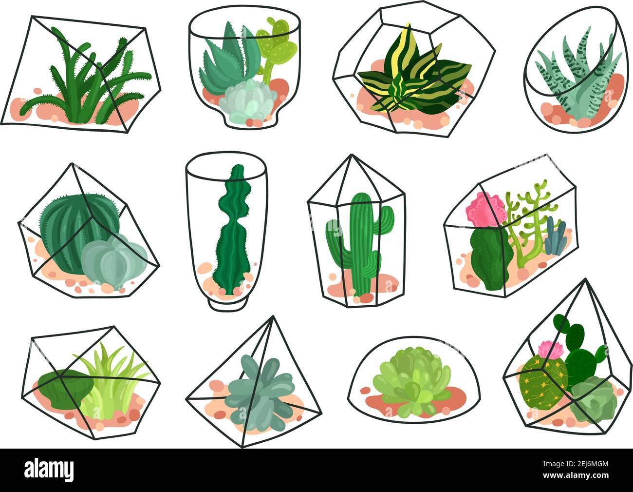 Succulents plants cacti decorative compositions in geometric transparent florariums containers flat icons set isolated vector illustration Stock Vector