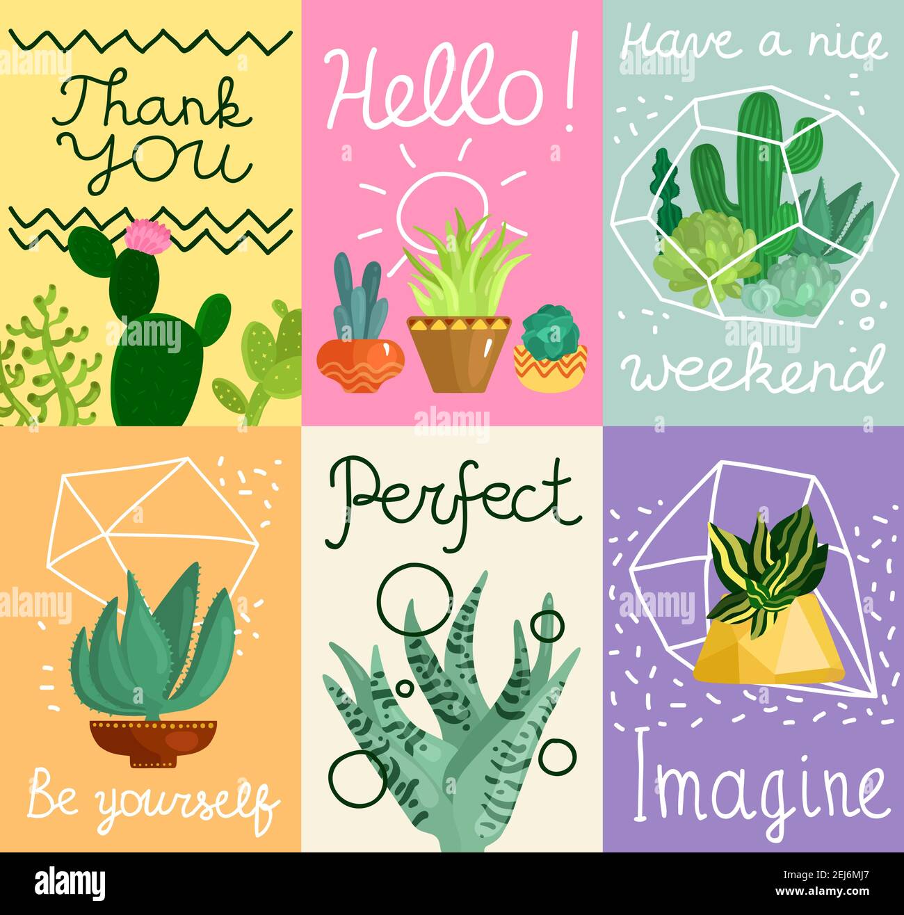 Succulent cards set with greetings symbols flat isolated vector ...