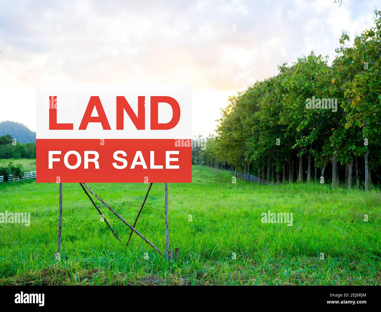 Land For Sale On