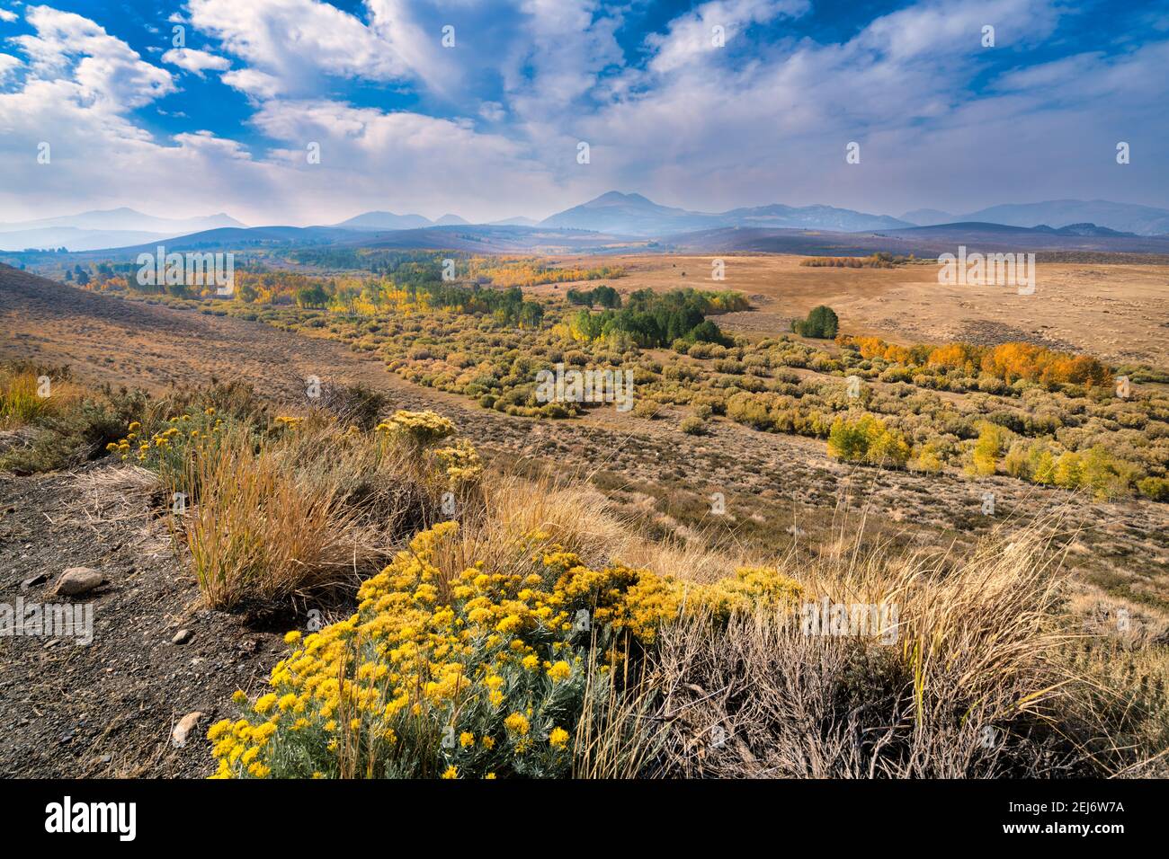 Highway 395 expanse Stock Photo