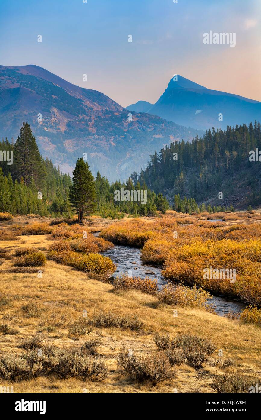 Mountain Stream Stock Photo