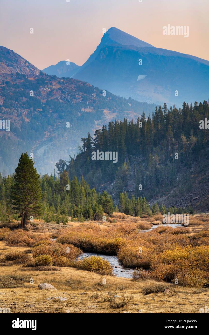 Mountain Stream Stock Photo