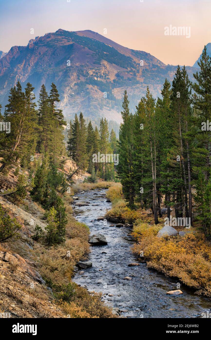 Yosemite back country Stock Photo