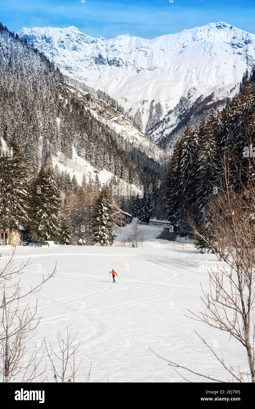 Picturesque view of snowy mountain ridge and coniferous forest near distant cross country skier in countryside Stock Photo