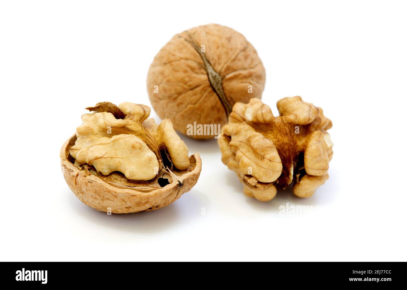 Walnuts, whole and opened on white background Stock Photo