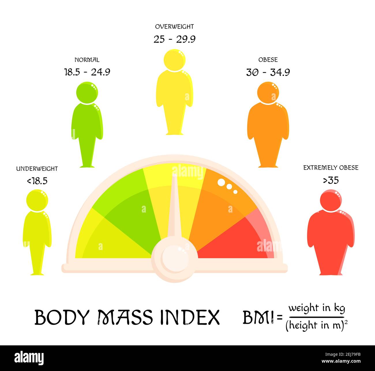 BMI concept. Body shapes from underweight to extremely obese. Weight loss.  Silhouettes with different obesity degrees and rating scale. Human icons sh  Stock Vector Image & Art - Alamy